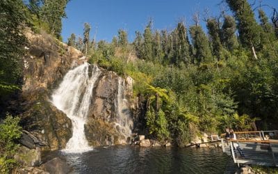 Staying near Steavenson Falls: when the falls shape the trip