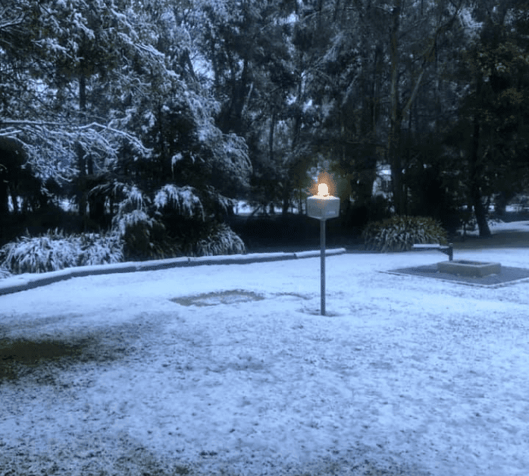 A Seasonal Guide to Glamping in Victoria