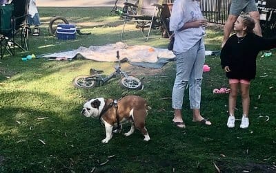 Dog-friendly cabins in Victoria: what to check before booking