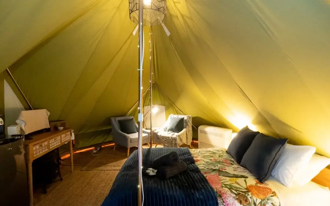 What Victorian holiday parks mean when they say ‘dog-friendly’