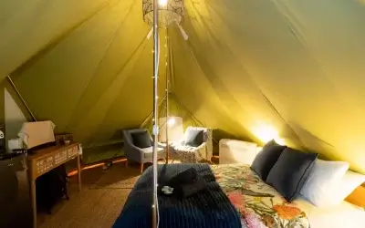 What Victorian holiday parks mean when they say ‘dog-friendly’