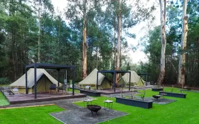Marysville vs Daylesford: Which Is Better for Glamping?