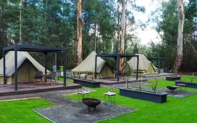 Cabin vs Glamping in Marysville: What’s the Right Stay for You?