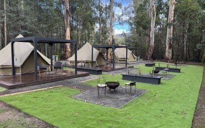 Should You Book a Cabin or Go Glamping in Marysville?