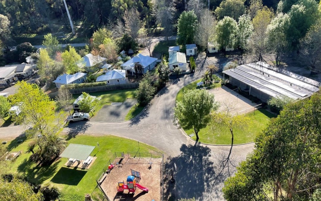 Nature and Wildlife Encounters While Glamping in Marysville