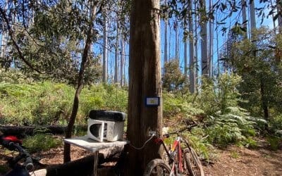 Lady Talbot Drive: Marysville’s Rain-Weather Day Out