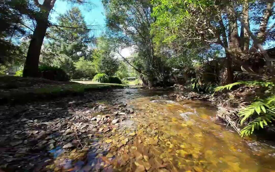 Yarra Valley vs Marysville Glamping: Which Region Suits Your Style?