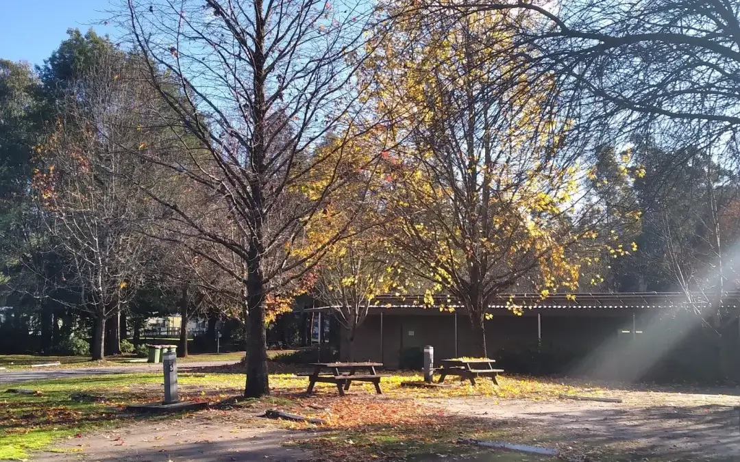 Bright vs Marysville for Glamping