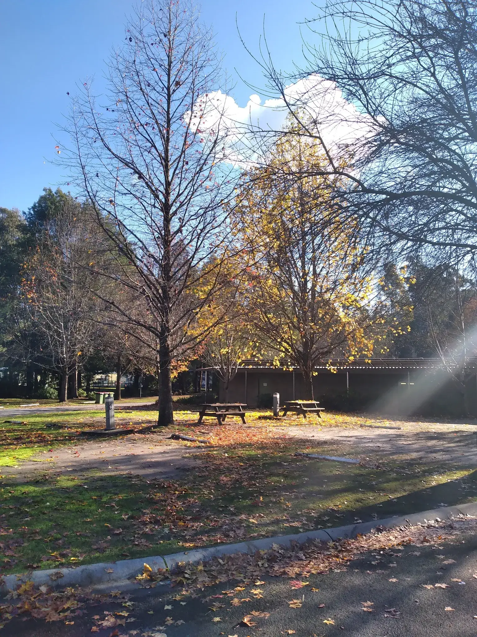 Breakfast Time at Maryville Holiday Park