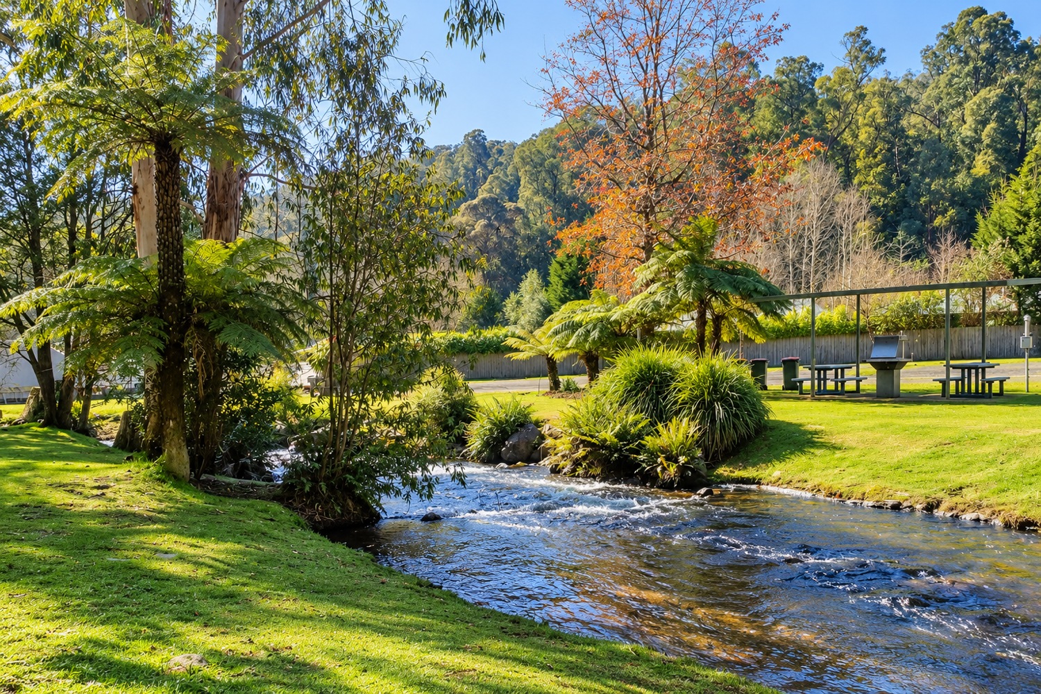 Communal barbecue and picnic tables beside the river at Marysville Holiday Park.