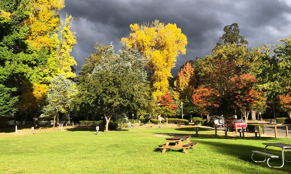 Marysville: A Gem for Short Holidays Just 2 Hours Drive from Melbourne