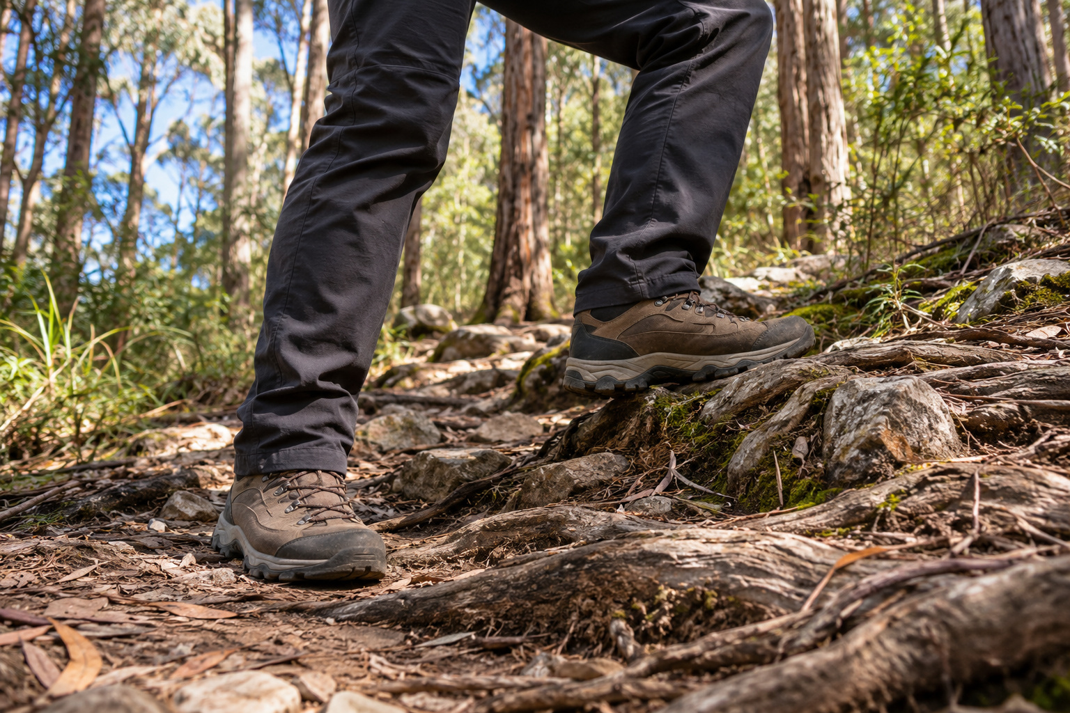 Sturdy hiking boots on a rocky, root-crossed rise in a eucalypt forest track.