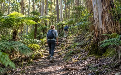 Keppel Lookout and Marysville’s walks, by time and grade