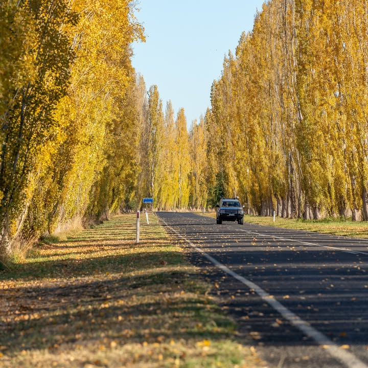 Marysville Holiday Park