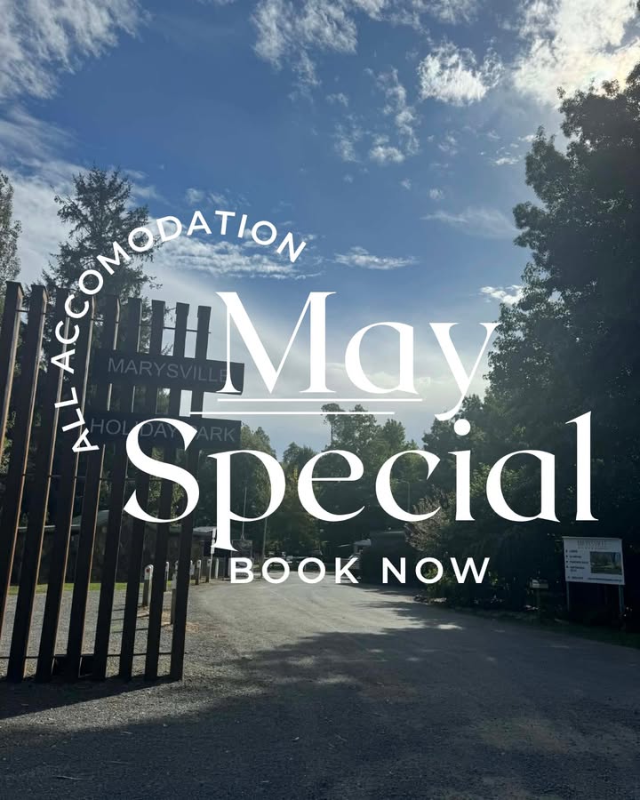 Marysville Holiday Park