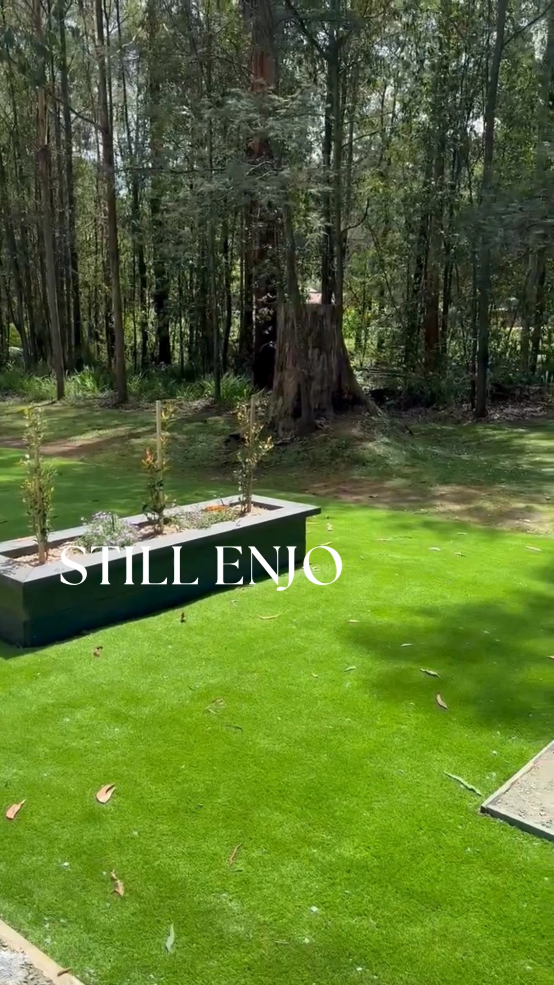 Marysville Holiday Park