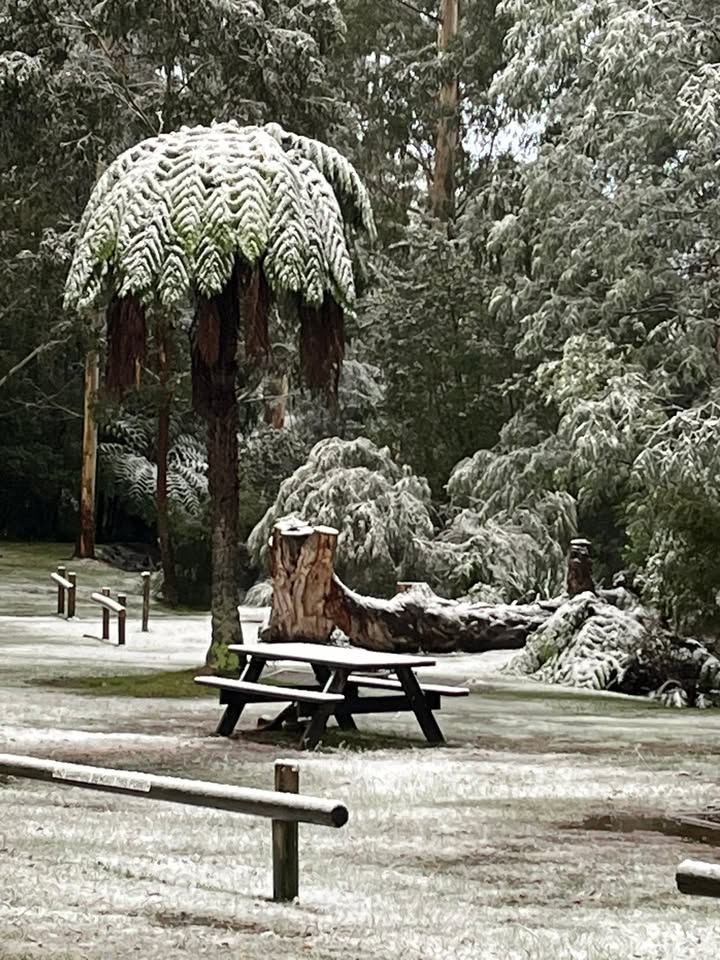 Marysville Holiday Park