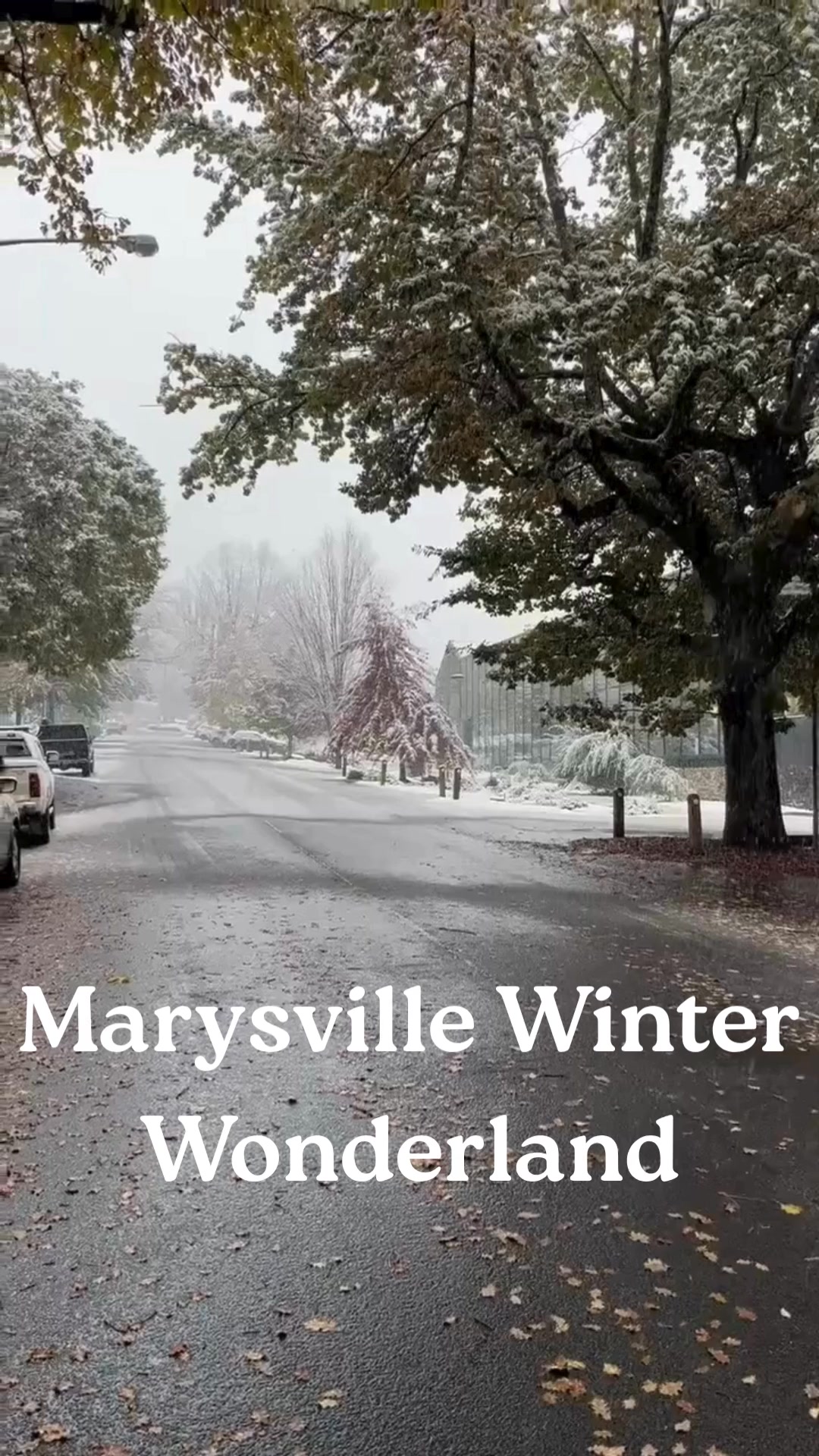 Marysville Holiday Park