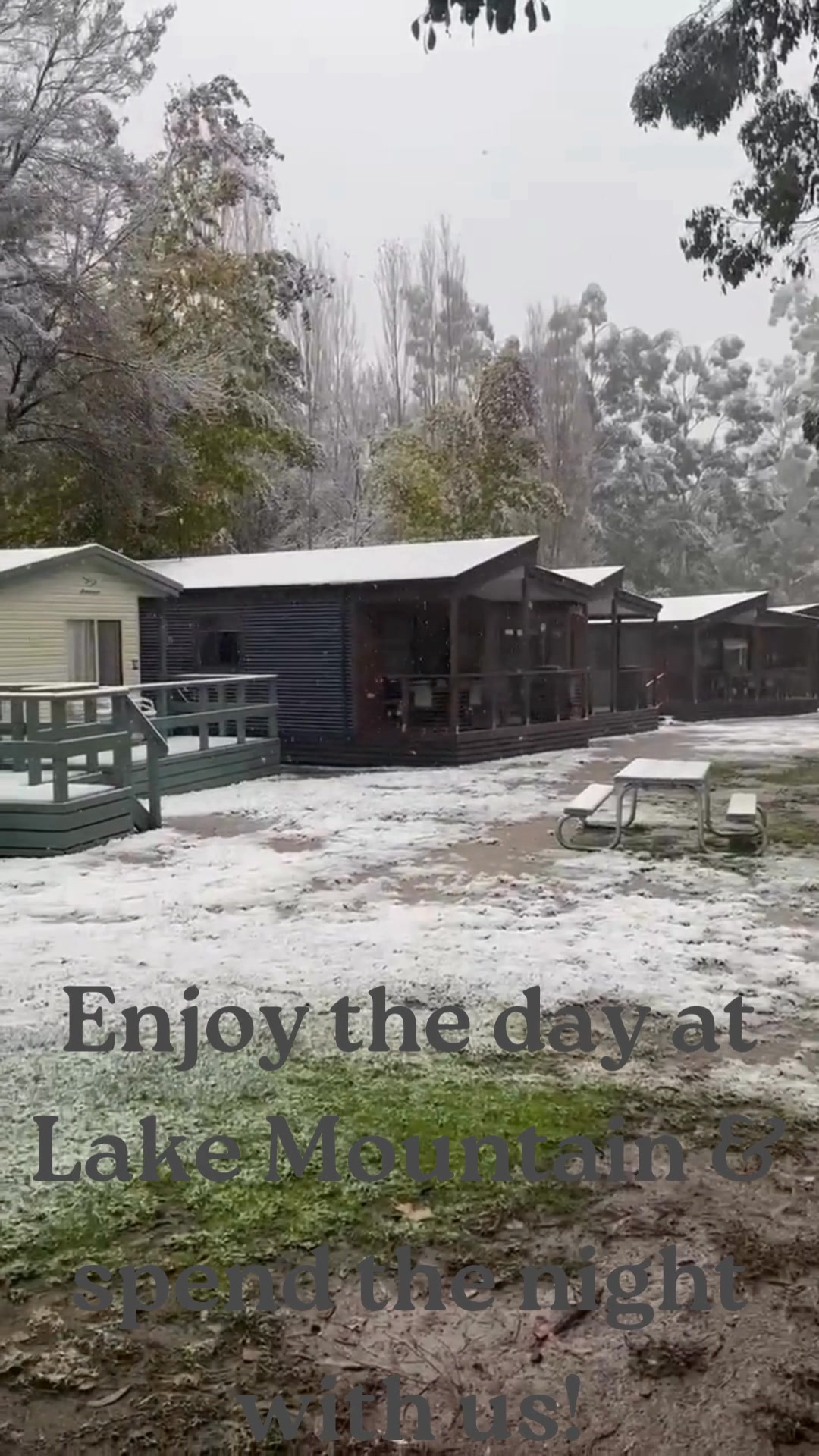 Marysville Holiday Park