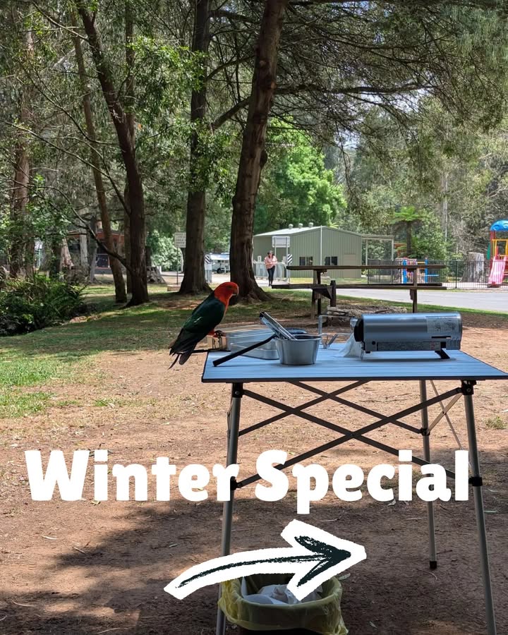Marysville Holiday Park