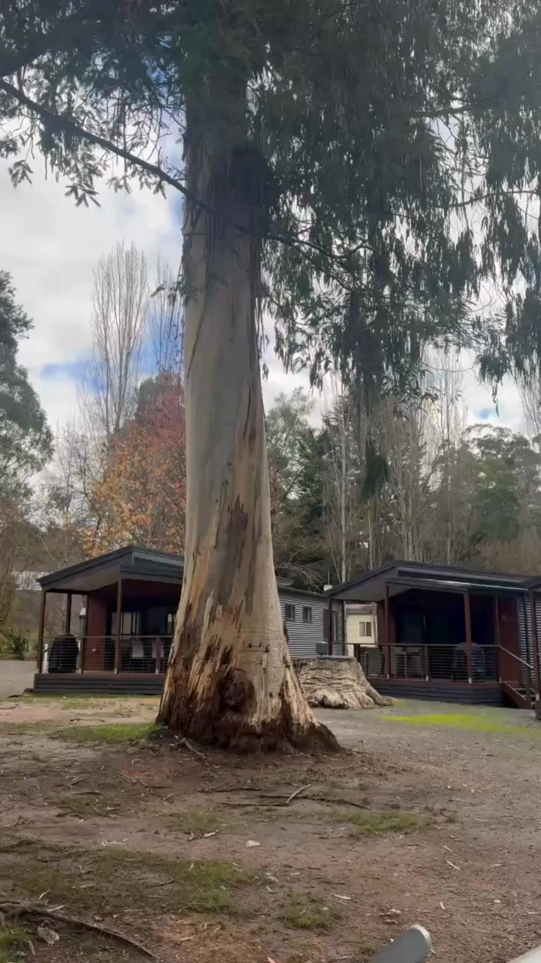 Marysville Holiday Park