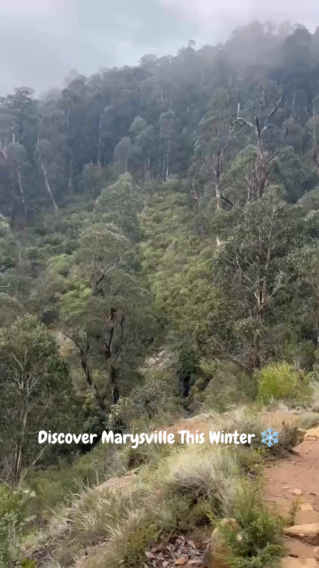 Marysville Holiday Park