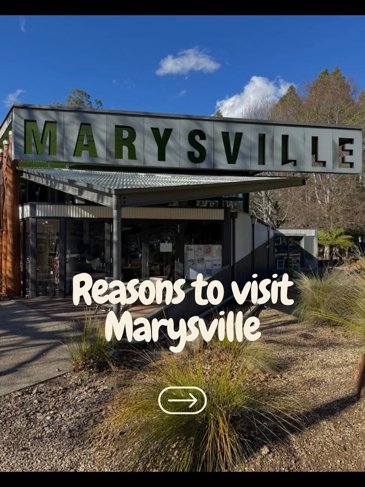Marysville Holiday Park