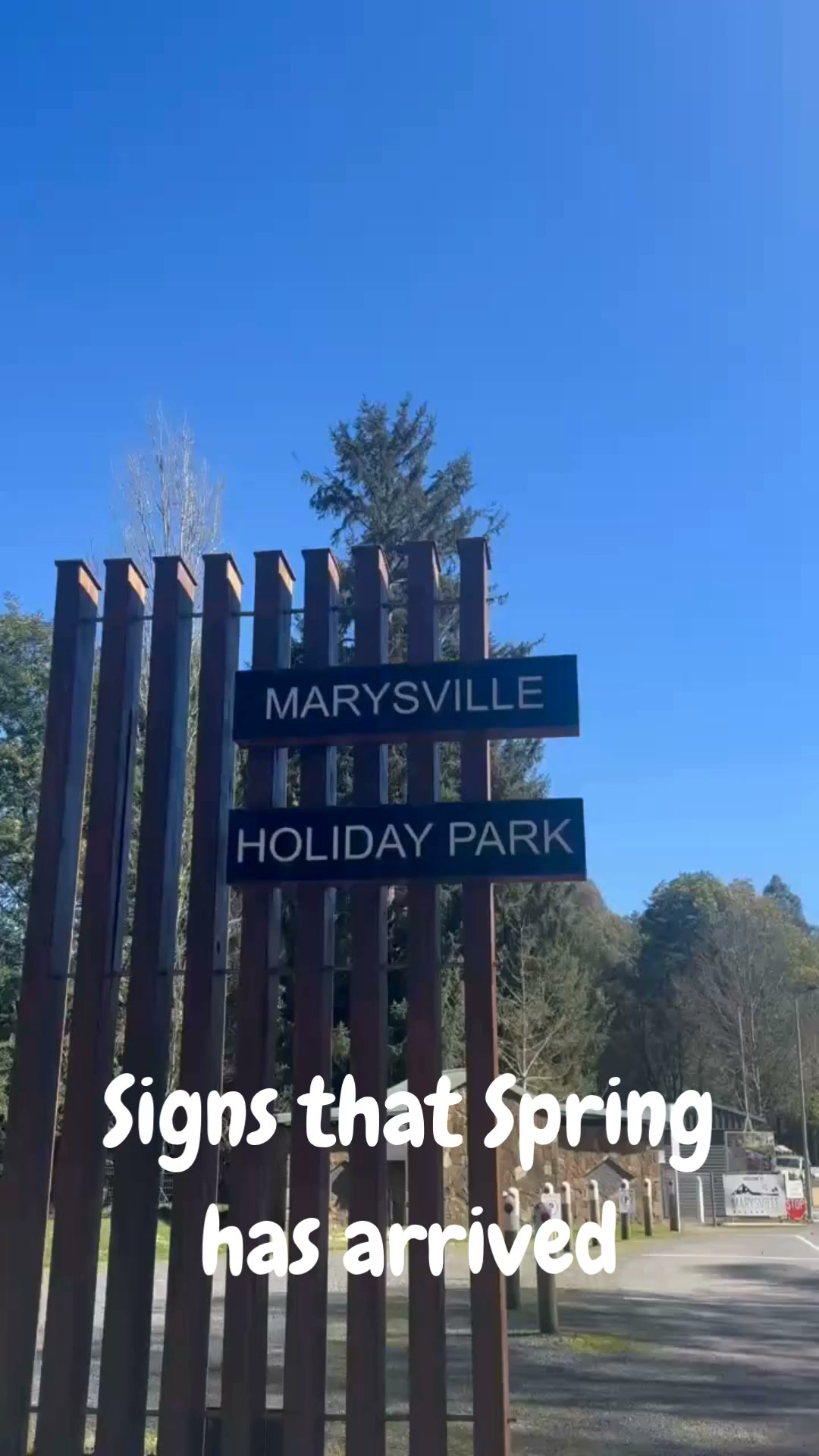 Marysville Holiday Park