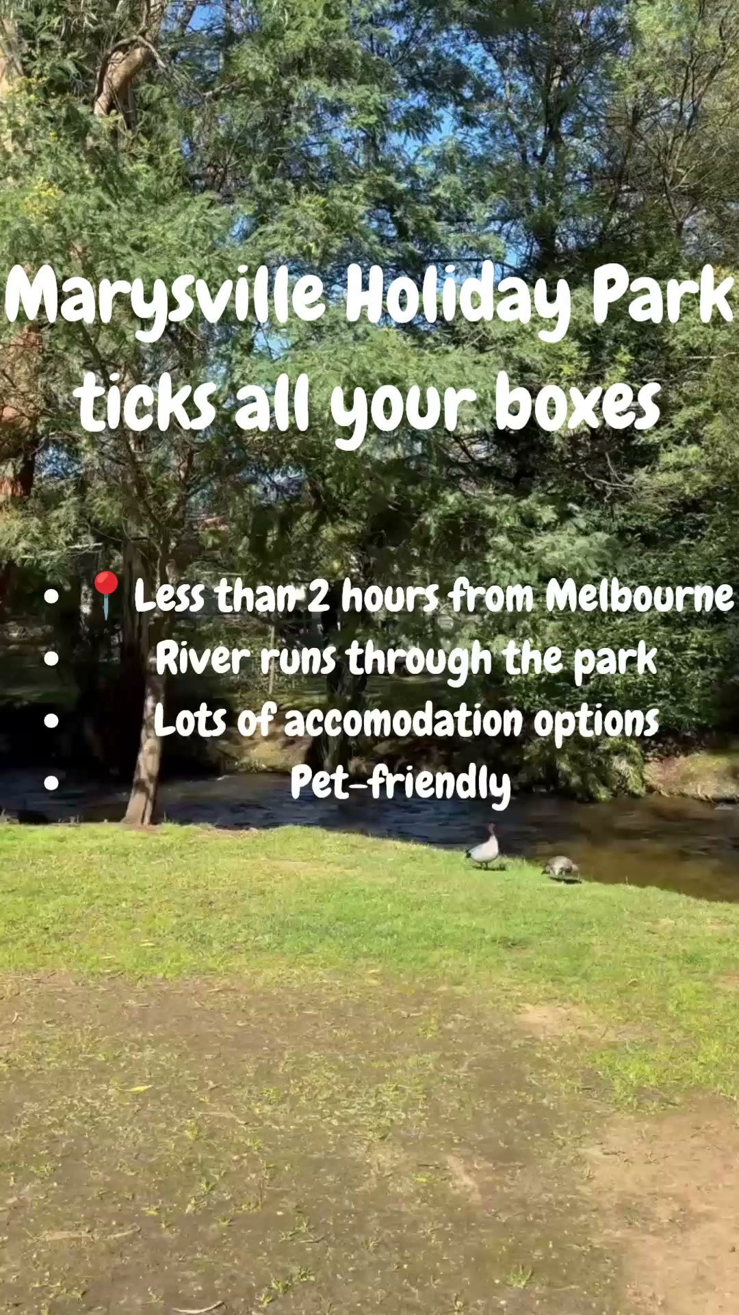 Marysville Holiday Park
