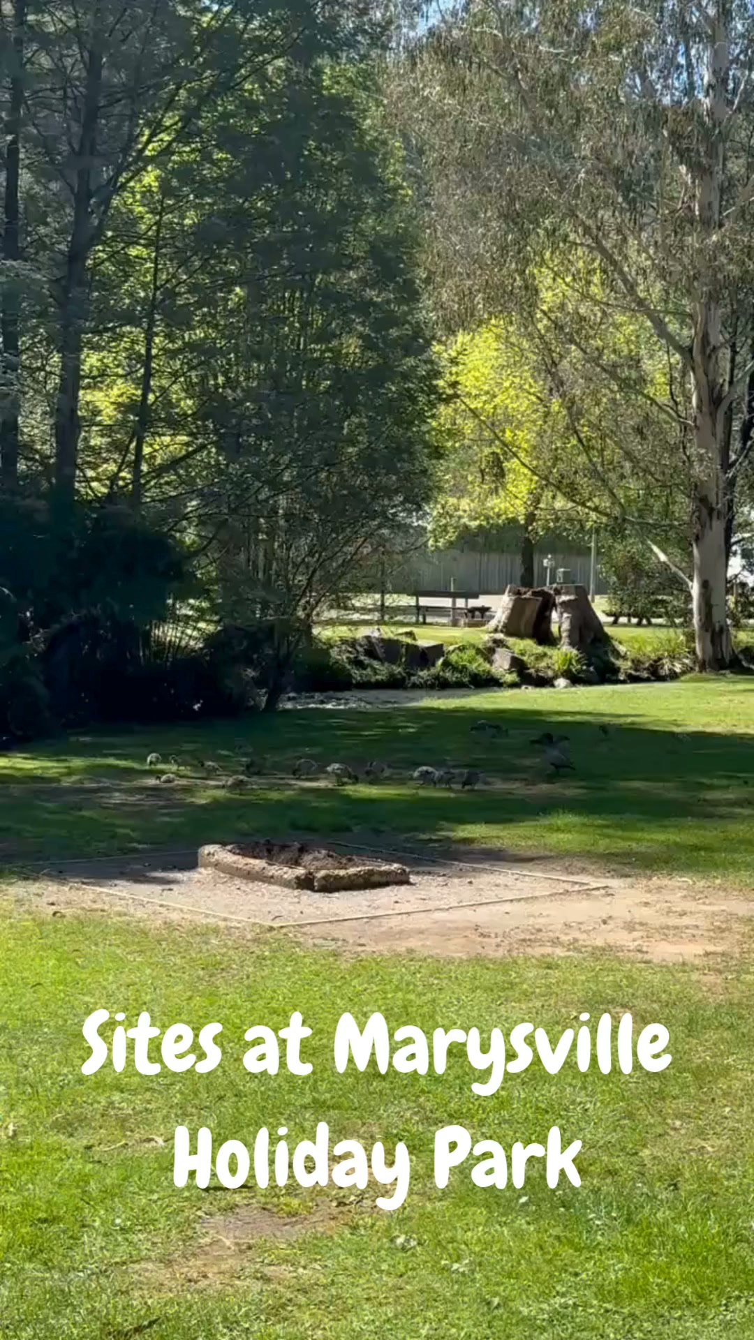 Marysville Holiday Park